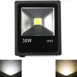 30W 1 LED haute puissance 2400 LM blanc chaud/blanc froid LED lumières d'inondation V