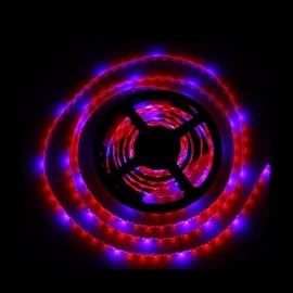 5M SMD5050 4Red1Blue 300LED IP65 systèmes hydroponiques LED plante poussent lumière Led étanche (DC12V)