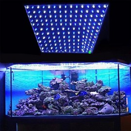 10 W 225 LED 112 bleu + 113 blanc LED lumières d'aquarium EU (220 V)