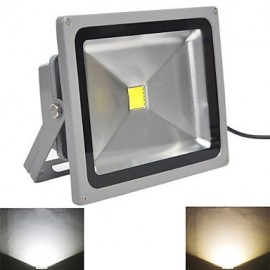 30W 1 LED intégrée 3000 LM blanc chaud/blanc froid LED lumières d'inondation V