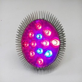 E25 12W 10Red et 2Blue Light LED Spot Bulb Plant Grow Light (AC100-265V)