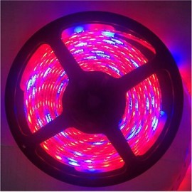 5M 5Red1Blue 300LED SMD5050 IP65 systèmes hydroponiques LED plante poussent lumière LED étanche (DC12V)