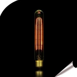 Ampoule en tungstène E27 60W T30 12 Source de lumière en tungstène Art déco Anka Edison